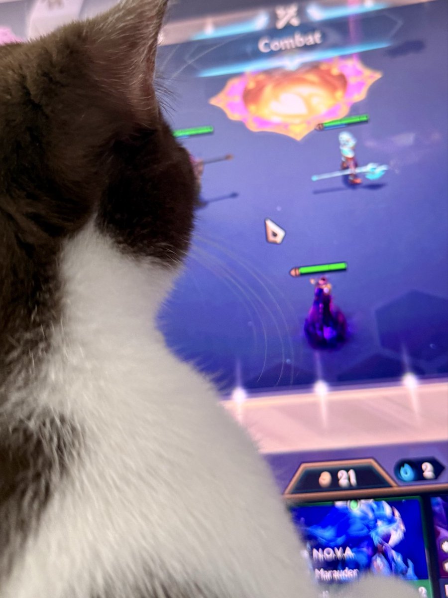 Harris Caine ⛓️【EOS】 tweet media