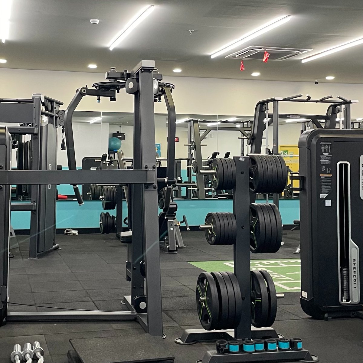 niyಇ⁺ tweet media