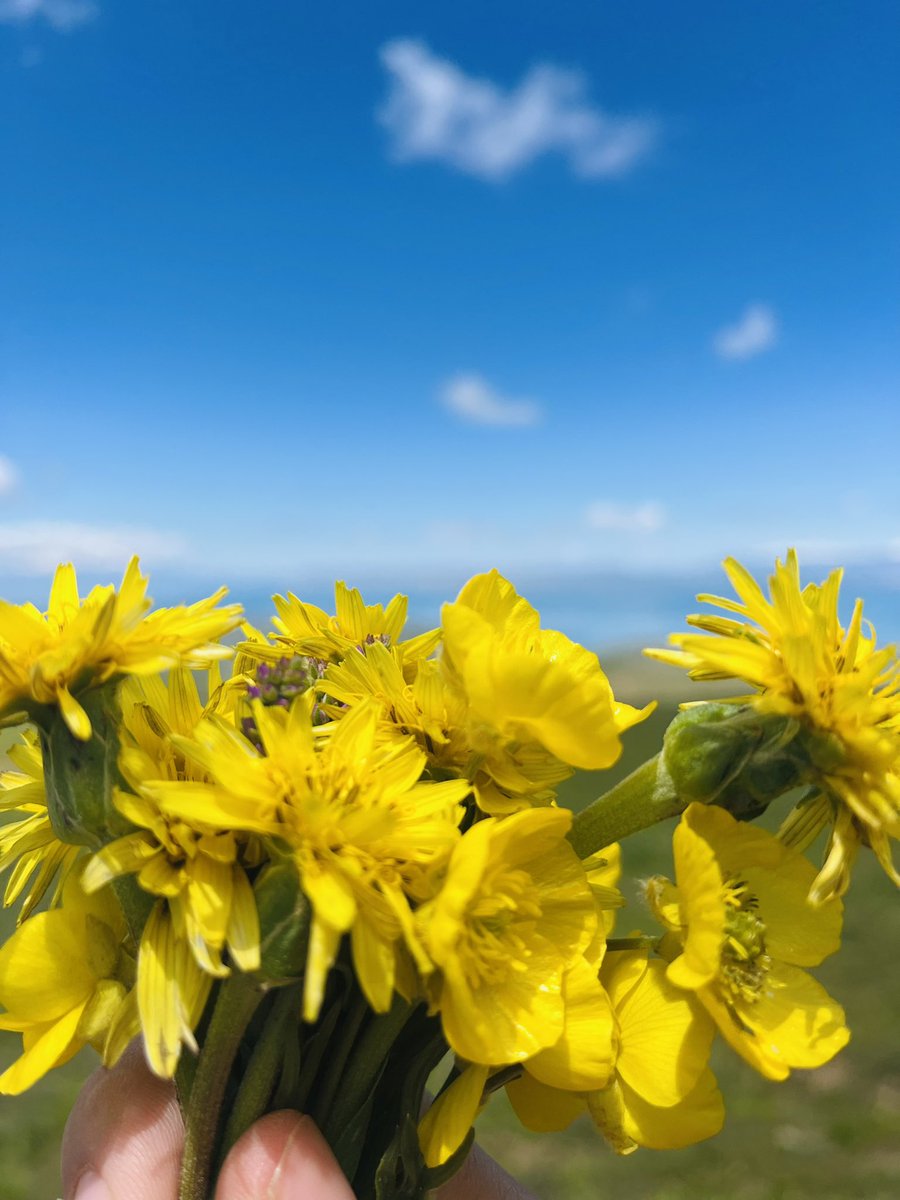 müzehher 🌸 tweet media