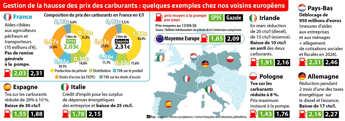 Sophie Wauquier tweet media