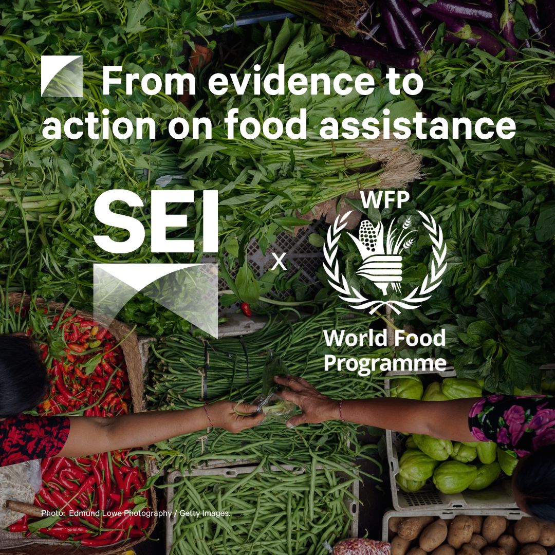 Stockholm Environment Institute (SEI) tweet media