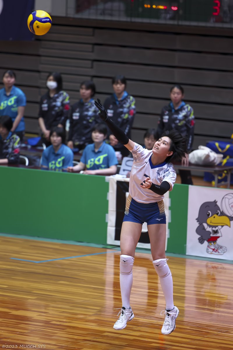 むっちしす tweet media