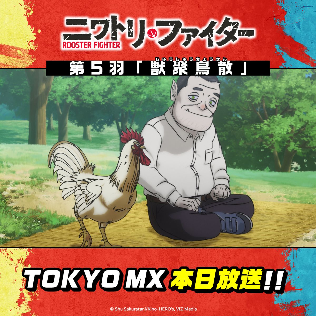 🐤――――― TVアニメ『ニワトリ・ファイター』第5羽 本日24時より放送
