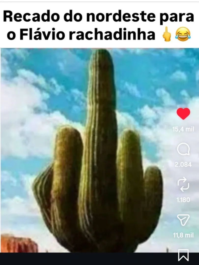 Angel Floyd LULA PRESIDENTE ⭐️❤️🚩🇧🇷🤜🏾🤛🏻 tweet media