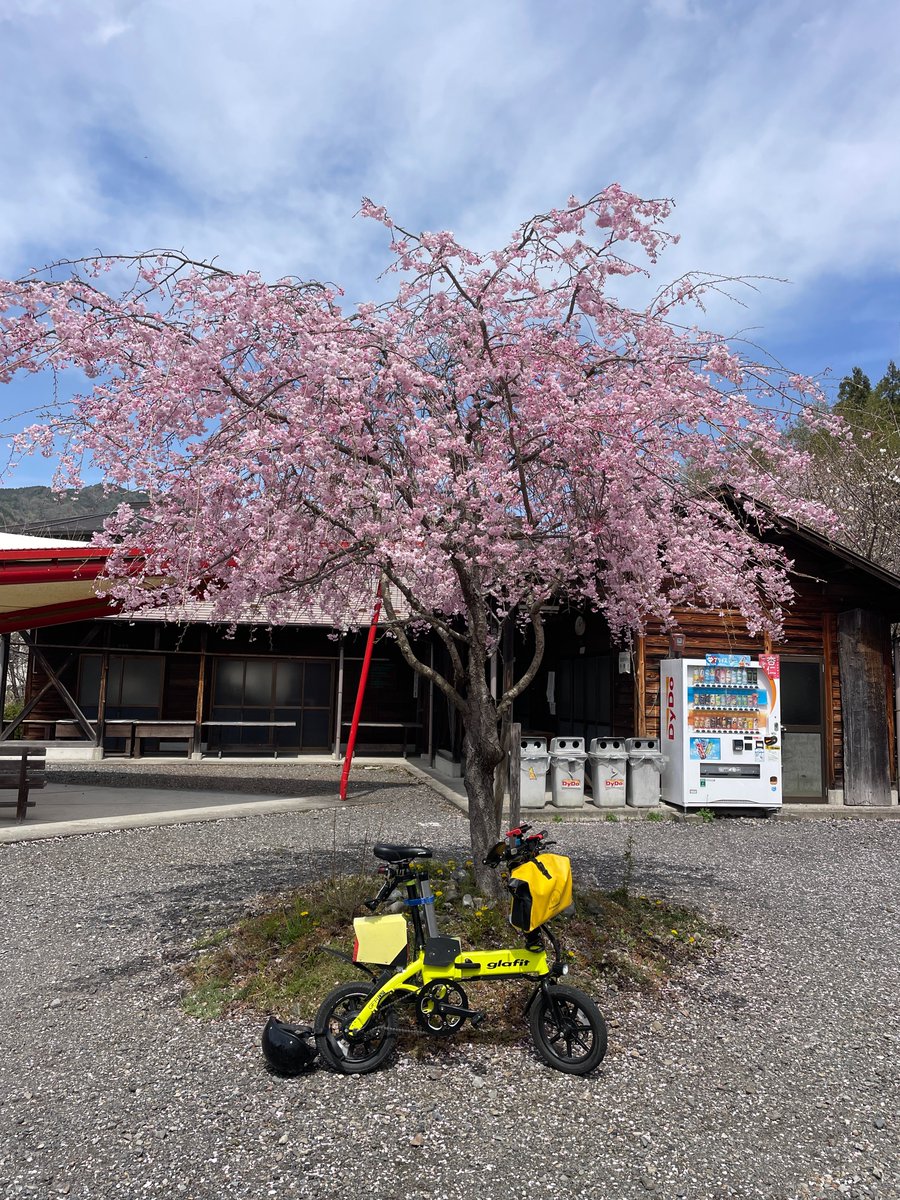 ゆっくり考える tweet media