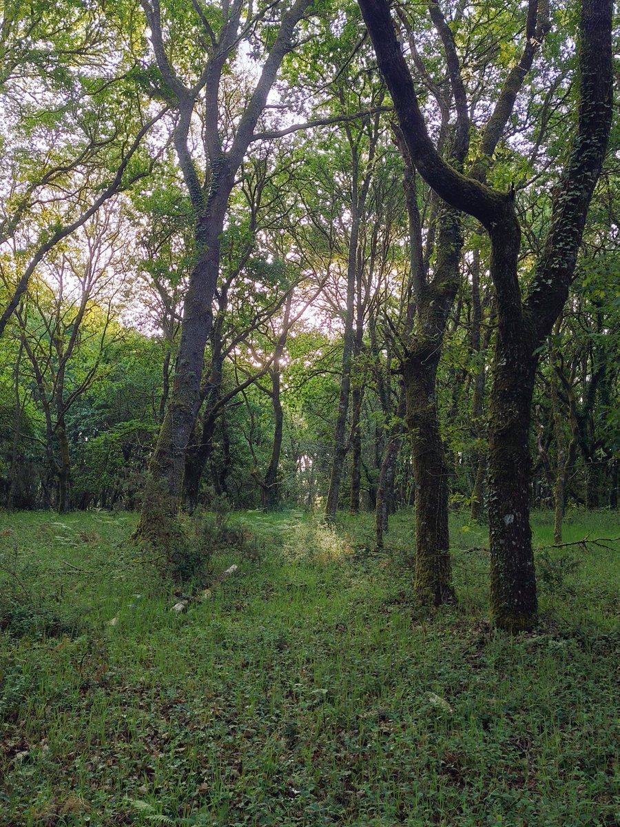 DeApelidoFlores's tweet image. #KeepCalm e dálle , #Lugo ! ✊🏽 😎