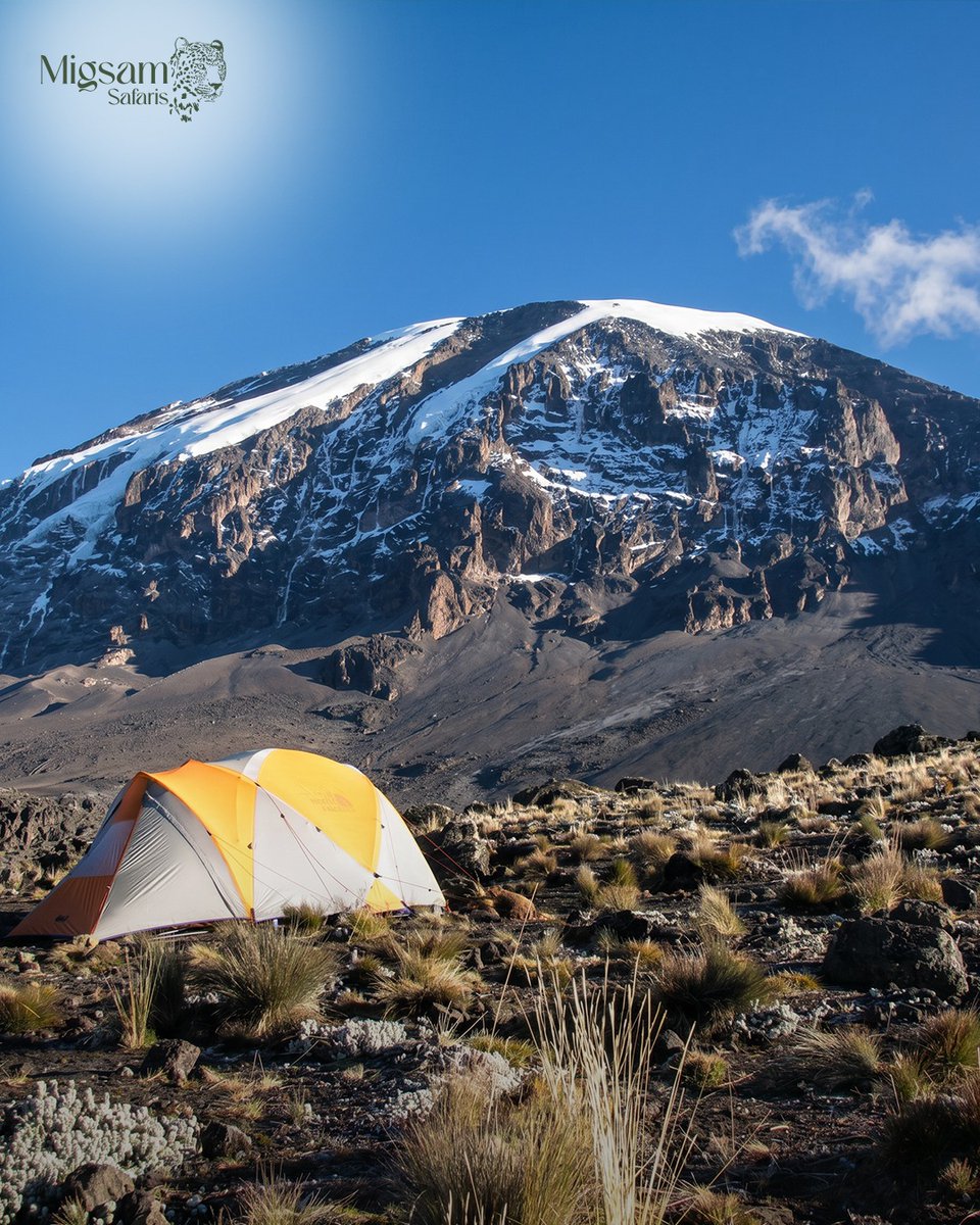migsamsafaris's tweet image. Conservation here isn’t just protection—it’s a commitment to preserving wildlife 🦁, supporting local communities 🤝, and ensuring future generations experience Africa’s wild, untouched beauty. 🌿✨

#Tanzania #Serengeti #Ngorongoro #WildlifeConservation #SafariLife