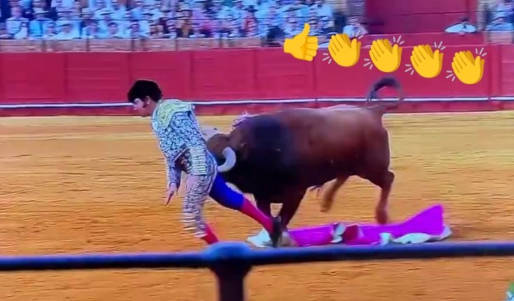 rosaferlas's tweet image. Gracias #Clandestino, siempre te recordaremos ❤️ 🐂