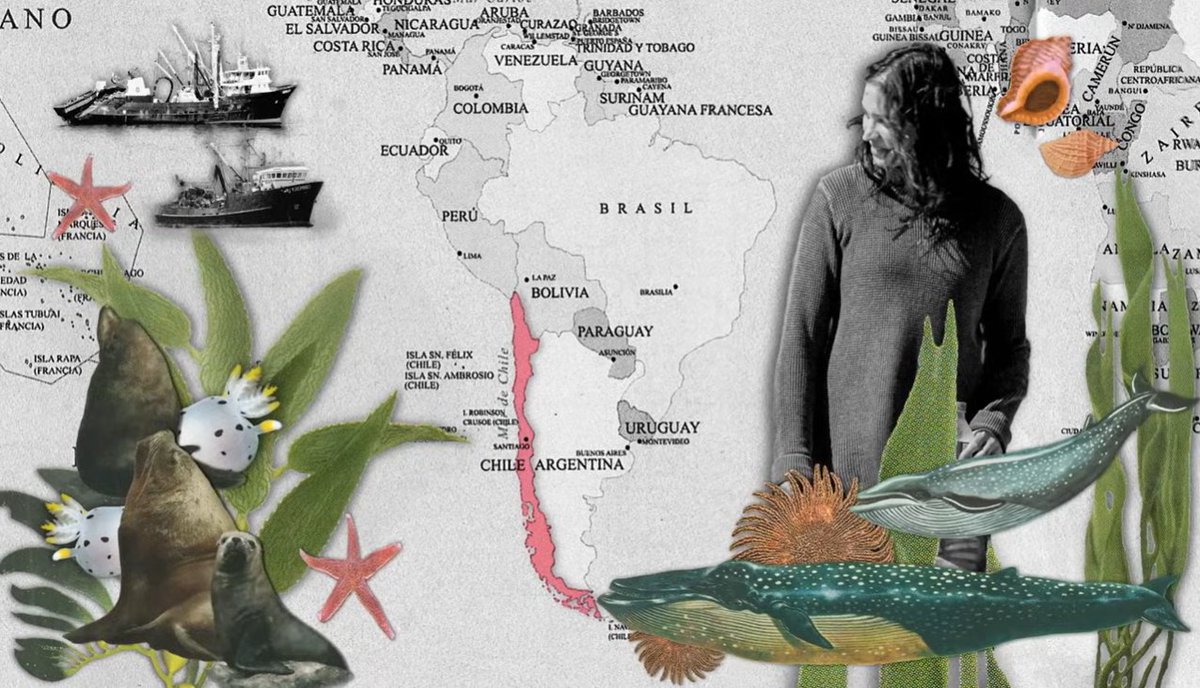 ongdFundEO's tweet photo. En el #díadelaMadreTierra, proclamamos nuestro apoyo incondicional a todas esas mujeres que defienden la tierra y el medio ambiente, aún a costa de su vida.
En estos vídeos hay mujeres valientes con ideas muy claras. Merecen mucho la pena.
https://t.co/LgpCuLs0ep... https://t.co/UBicYdwERY