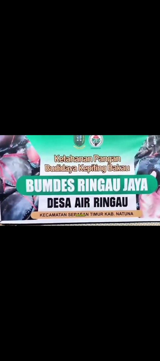 DARI NATUNA UNTUK INDONESIA. BUMDesa Desa  Air Ringau di Ujung Utara Negeri  berinovasi membudidayakan kepiting untuk kesejahteraan warga. Desa Berdaya Indonesia Jaya

<a href="/YandriSusanto/">Yandri Susanto</a>
 <a href="/KemensetnegRI/">Sekretariat Negara</a>

#BPSDMKementerianDesaPDT
#BUMDesaNatuna
 #KerjaTPPBerdampak #BUMDesaMensejahtera