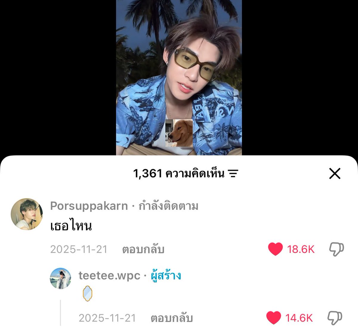 46 cm ﾐ・◦・ﾐ🍅 tweet media