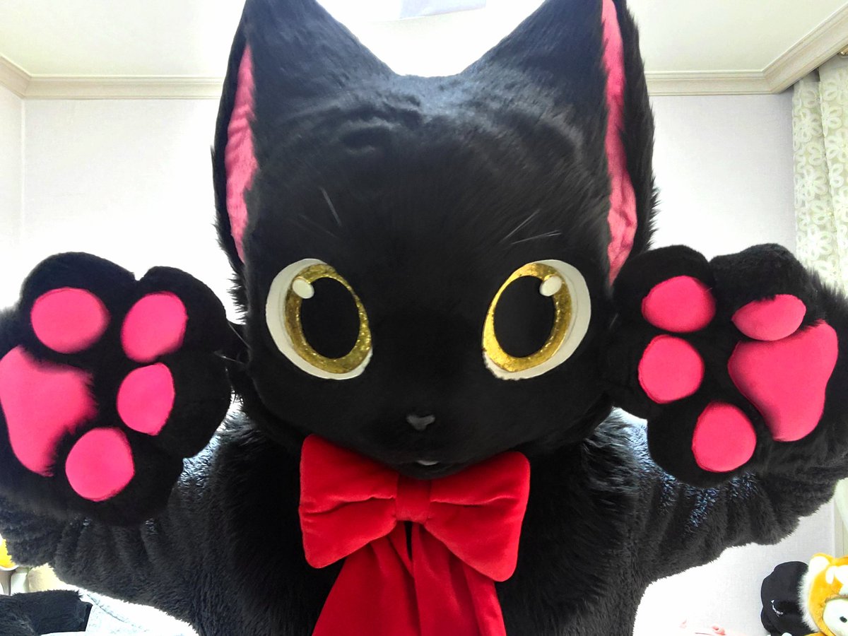 암냥⁶⁴😼⚗️✨️ tweet media