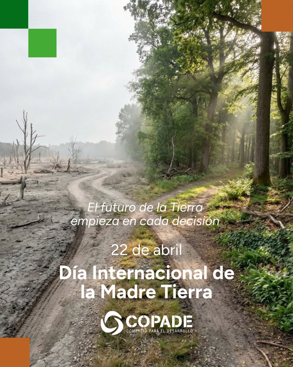 Fundación COPADE tweet media
