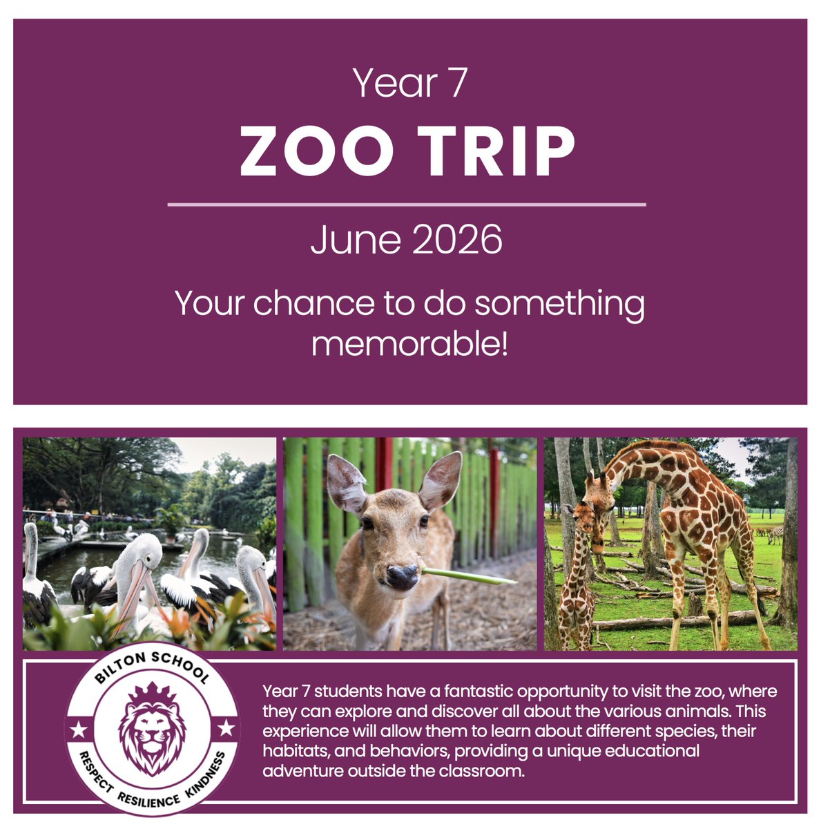 Bilton School tweet media