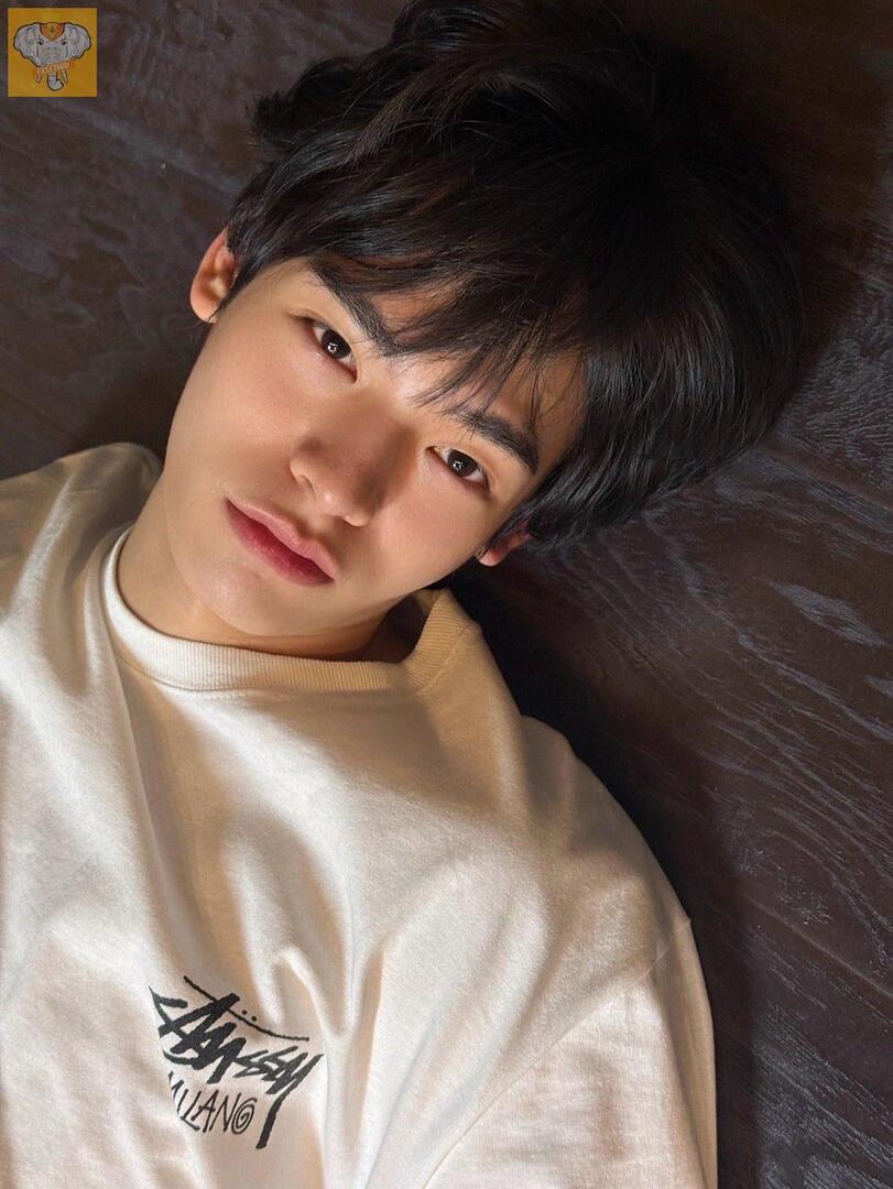 fessthai | เฟสไทย tweet media