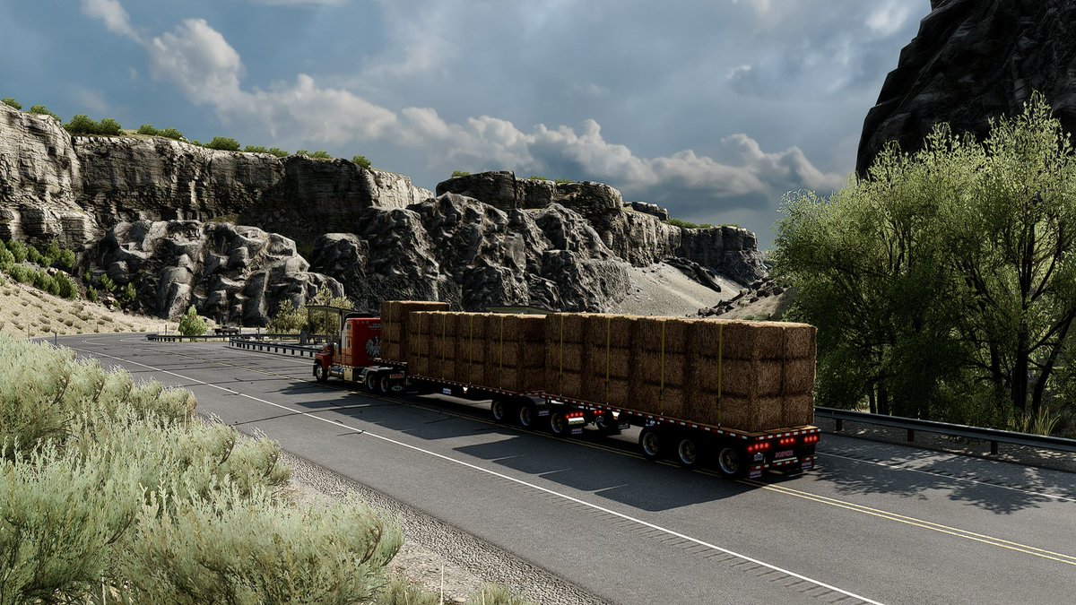 Lucas Van Der Spin 🕷 tweet media