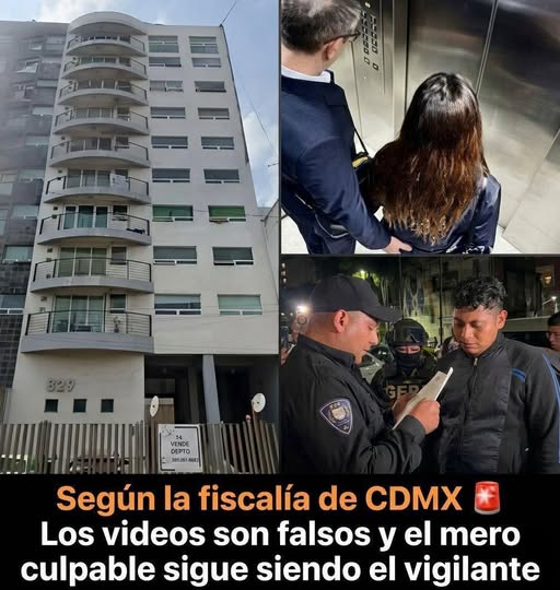 constanza luna tweet media