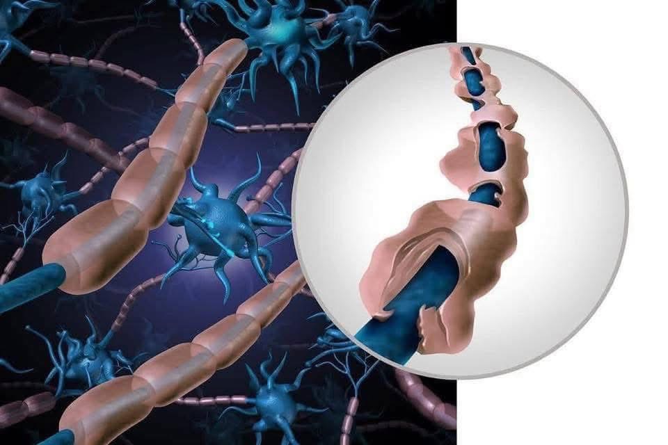 🧬Maxpein🧬 tweet media