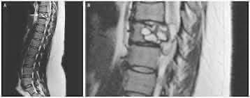 🧬Maxpein🧬 tweet media