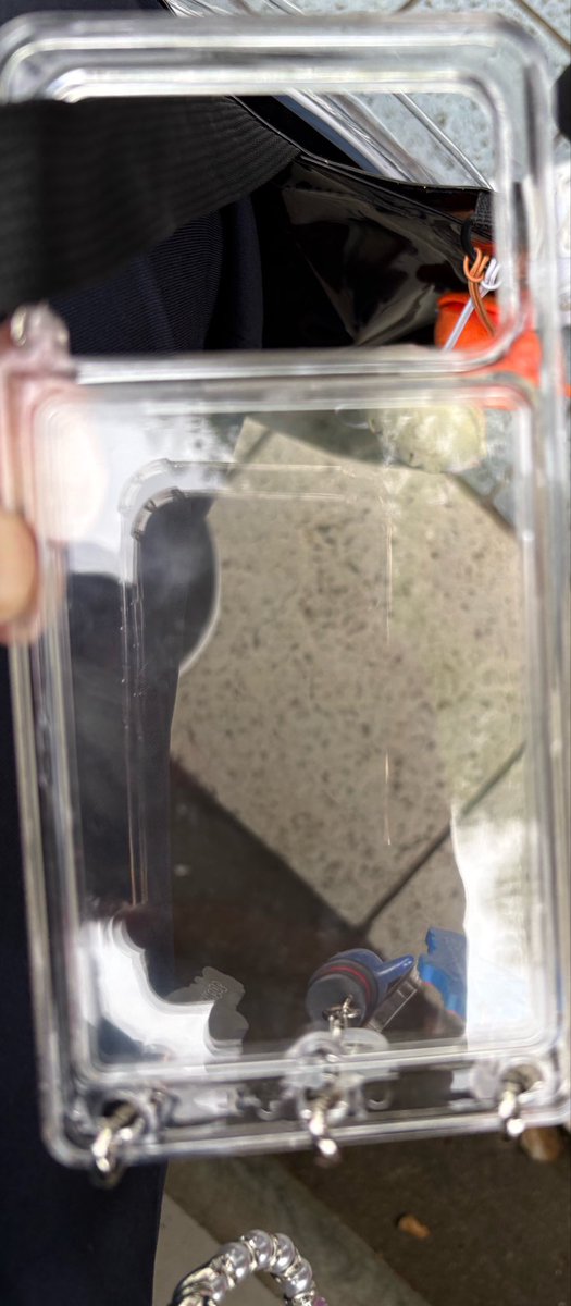 やー、れん🦊🍫💙🍍 tweet media