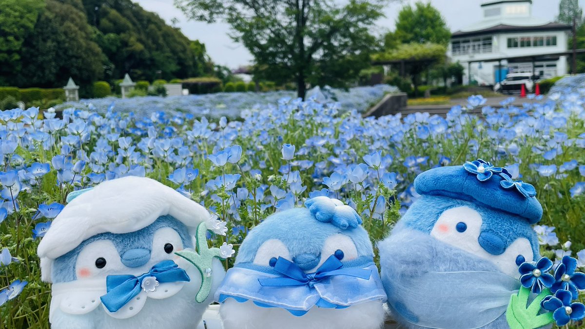 あきにょ tweet media