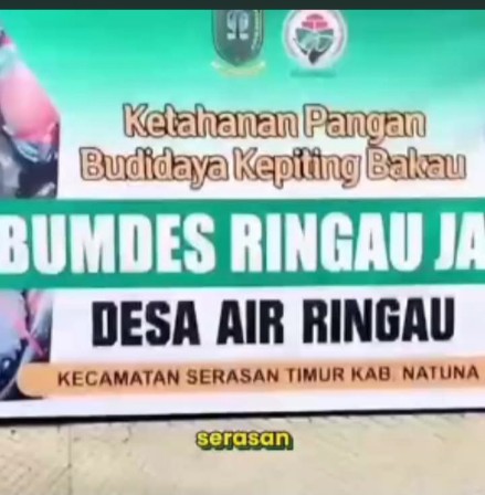 DARI NATUNA UNTUK INDONESIA. BUMDesa Desa  Air Ringau di Ujung Utara Negeri  berinovasi membudidayakan kepiting untuk kesejahteraan warga. Desa Berdaya Indonesia Jaya

<a href="/YandriSusanto/">Yandri Susanto</a>
 <a href="/KemensetnegRI/">Sekretariat Negara</a>

#BPSDMKementerianDesaPDT
#BUMDesaNatuna
 #KerjaTPPBerdampak