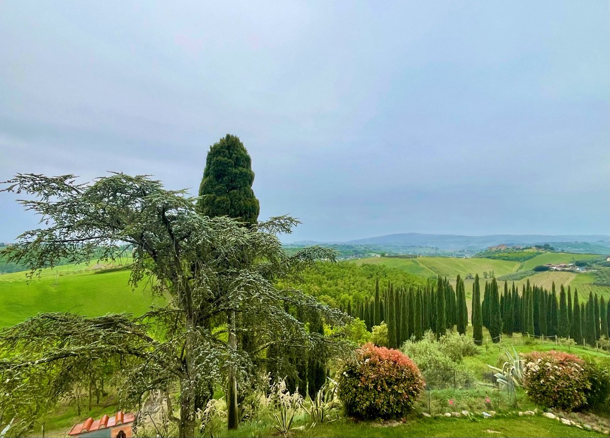 The WineSmacker tweet media