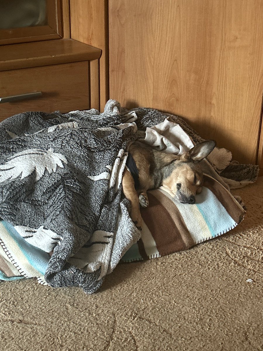 Антуан дʼЛанос tweet media