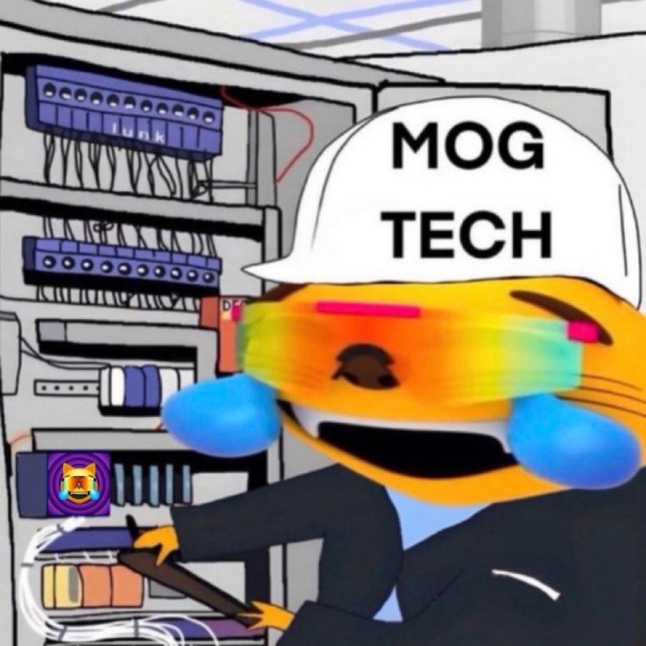 Bennu 🫵😹 tweet media