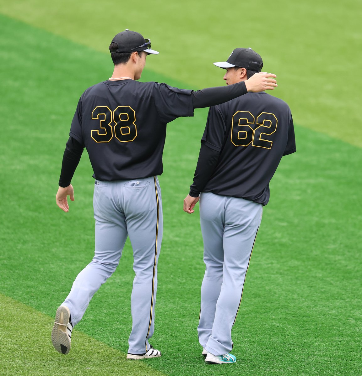 スポニチTIGERSフォト tweet media