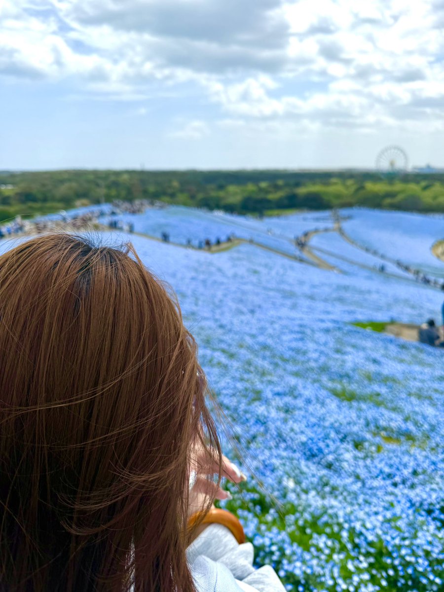 すん。 tweet media