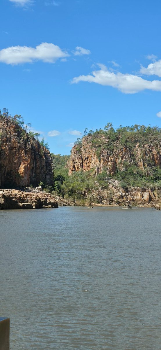 Duncan 🎮 tweet media