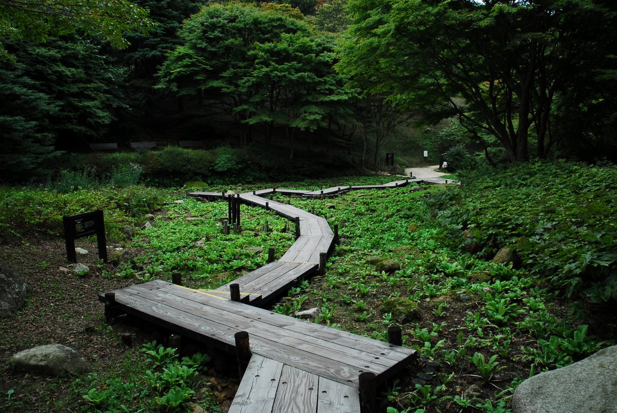 33miura's tweet image. BW
 
無性にモノクロ・フィルムで撮影したい！
 
六甲山高山植物園
 
#CAMERA
#Leica
#Nikon
#Bronica
#Kodak
#FujiFilm