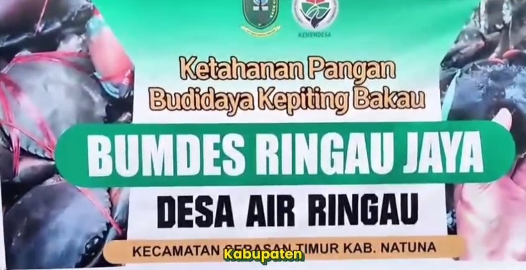 DARI NATUNA UNTUK INDONESIA. BUMDesa Desa  Air Ringau di Ujung Utara Negeri  berinovasi membudidayakan kepiting untuk kesejahteraan warga. Desa Berdaya Indonesia Jaya

<a href="/YandriSusanto/">Yandri Susanto</a>
 <a href="/KemensetnegRI/">Sekretariat Negara</a>
#BPSDMKementerianDesaPDT
#BUMDesaNatuna
 #KerjaTPPBerdampak