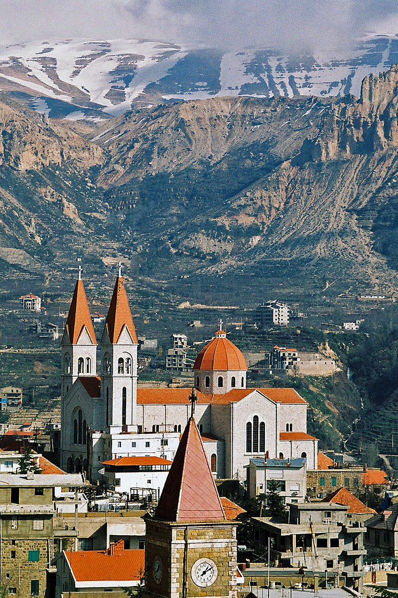 أرزة🇱🇧 tweet media