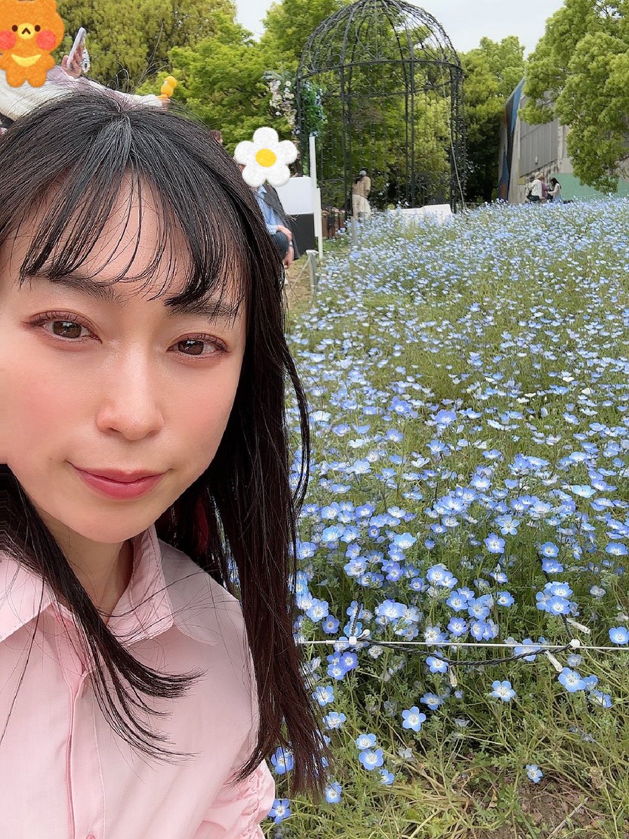 未里めい🌻撮影依頼受付中 tweet media