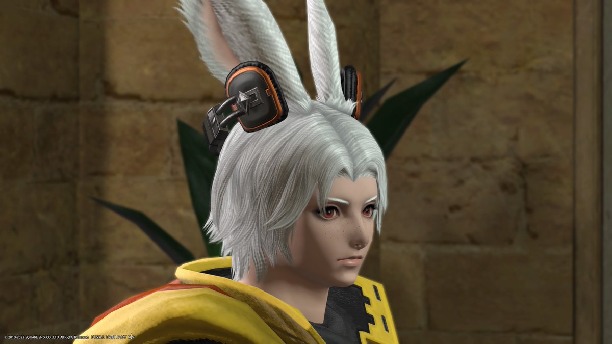 DiamondRust3's tweet photo. @Chococo_TV oh my god its the FFXIV Viera conundrum https://t.co/NQwP3YmobA