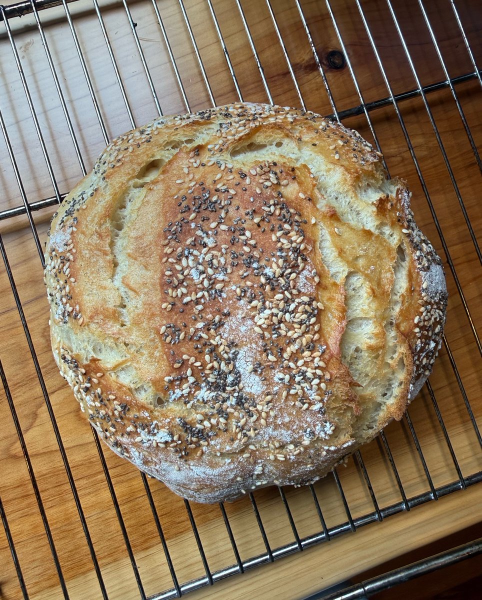 Jaylene🐰 tweet media