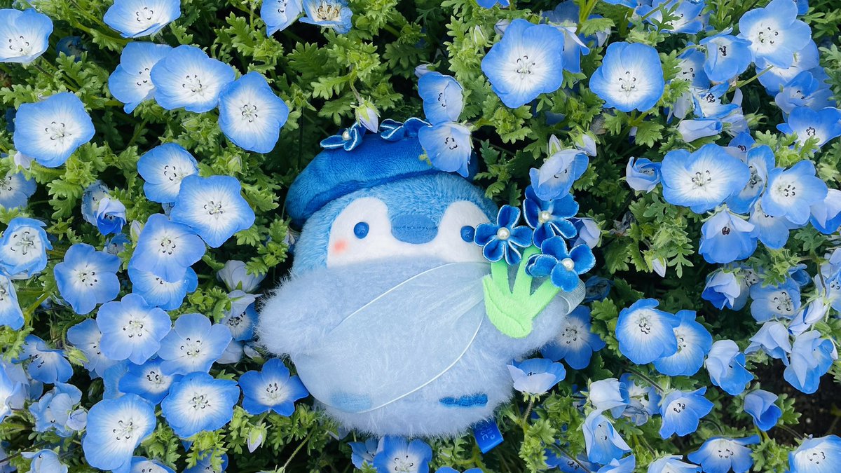 あきにょ tweet media