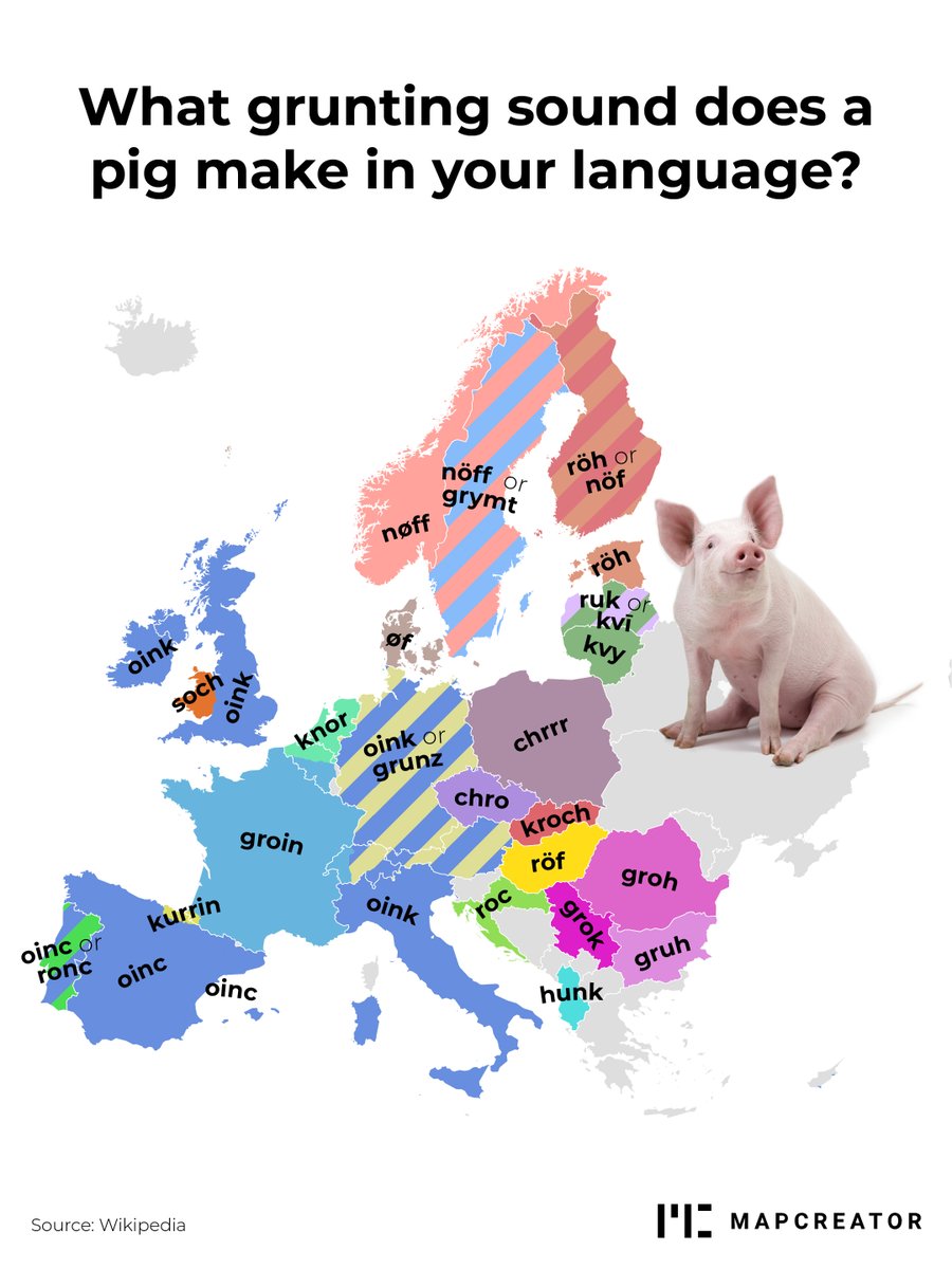mapcreator_io's tweet photo. Oink oink, or hunk hunk? Not all pigs make the same sound! What grunting sounds does a pig make where you are from? 🐽 #onomatopoeia #mapcreation #mapmaking https://t.co/w8sINpE1Gg