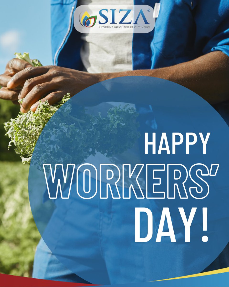 siza_programme's tweet photo. Today, we recognise the dedicated, hard working people across sectors who keep things moving daily. Every role is important in building sustainable industries. Today also highlights the value of safe workplaces, fair practices &amp; opportunities for growth. https://t.co/Jt9xTWIfV6
