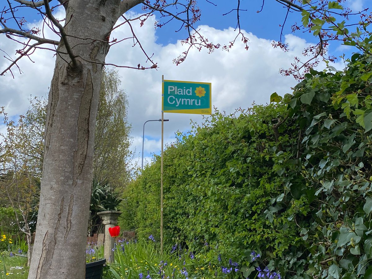 plaidystumtaf's tweet photo. Bore da Good morning Wales
More #PlaidCymru #placards up in rural #caerdyddffynnontaf
Thank you so much. Polls r close
Please use ur vote wisely
Vote #peoplewhocare
Vote #childcare
Vote #fairfunding
Vote #PlaidCymru
@DafyddTrystan @MeurigRogers @PlaidLlanishen @PlaidCdfEast https://t.co/RcLciJzdOE