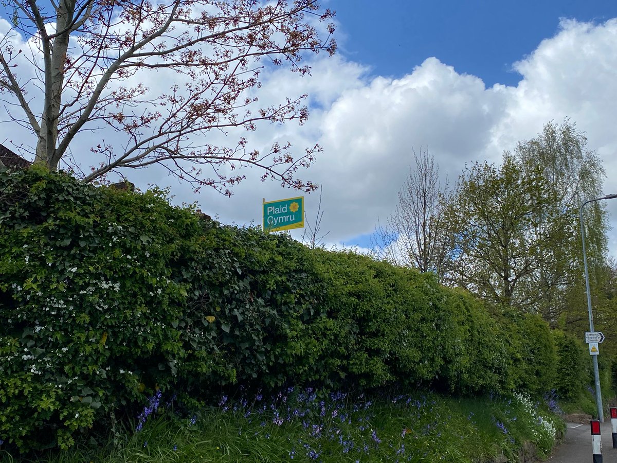 plaidystumtaf's tweet photo. Bore da Good morning Wales
More #PlaidCymru #placards up in rural #caerdyddffynnontaf
Thank you so much. Polls r close
Please use ur vote wisely
Vote #peoplewhocare
Vote #childcare
Vote #fairfunding
Vote #PlaidCymru
@DafyddTrystan @MeurigRogers @PlaidLlanishen @PlaidCdfEast https://t.co/RcLciJzdOE