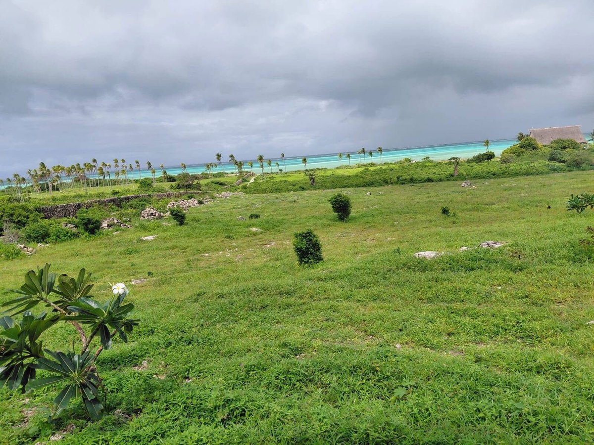 Kikaodevelopers's tweet image. Prime 12-acre beachfront property for acquisition in Watamu Jacaranda 🏝️. This expansive parcel, conveniently located near St. Thomas, offers significant potential 🌊. Each acre is available for 35 million 💰.
#searching #beachfrontproperty #fyp #WatamuKenya