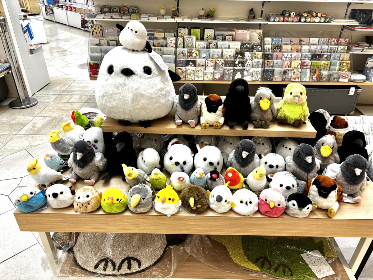 ことりマルシェ広島 #ことりマルシェ 4/23〜6/1 ジュンク堂 広島駅前店