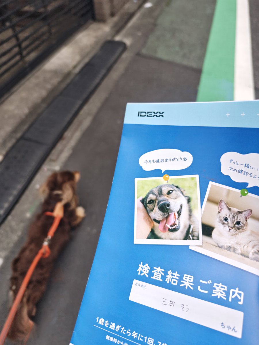 （メリー&そう）さんた tweet media