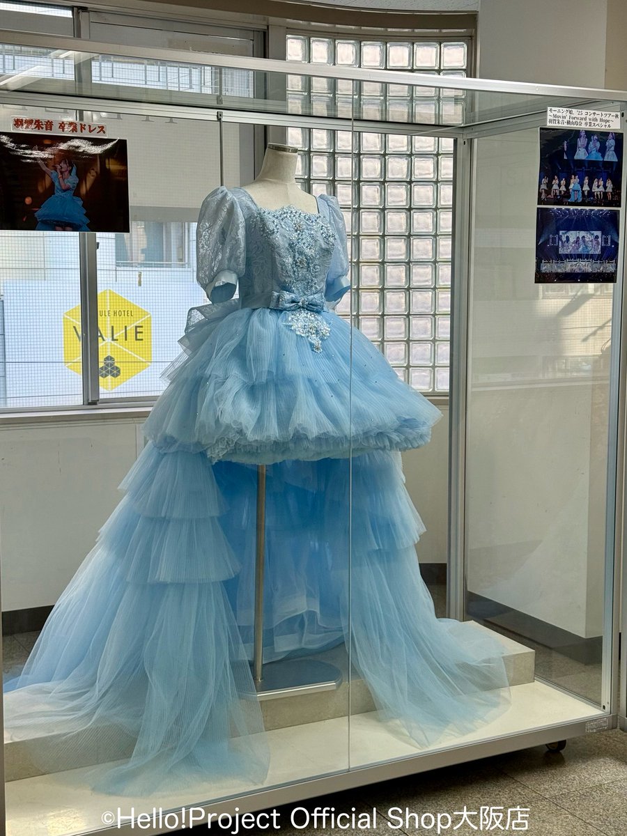 ハロー！ショップ大阪店🐙 tweet media