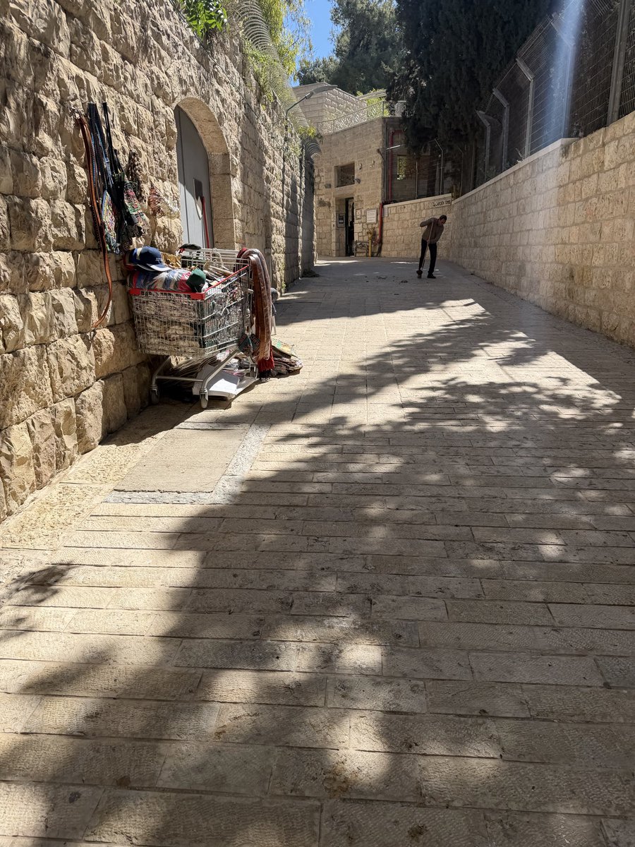 Loriane Lafont-Grave tweet media