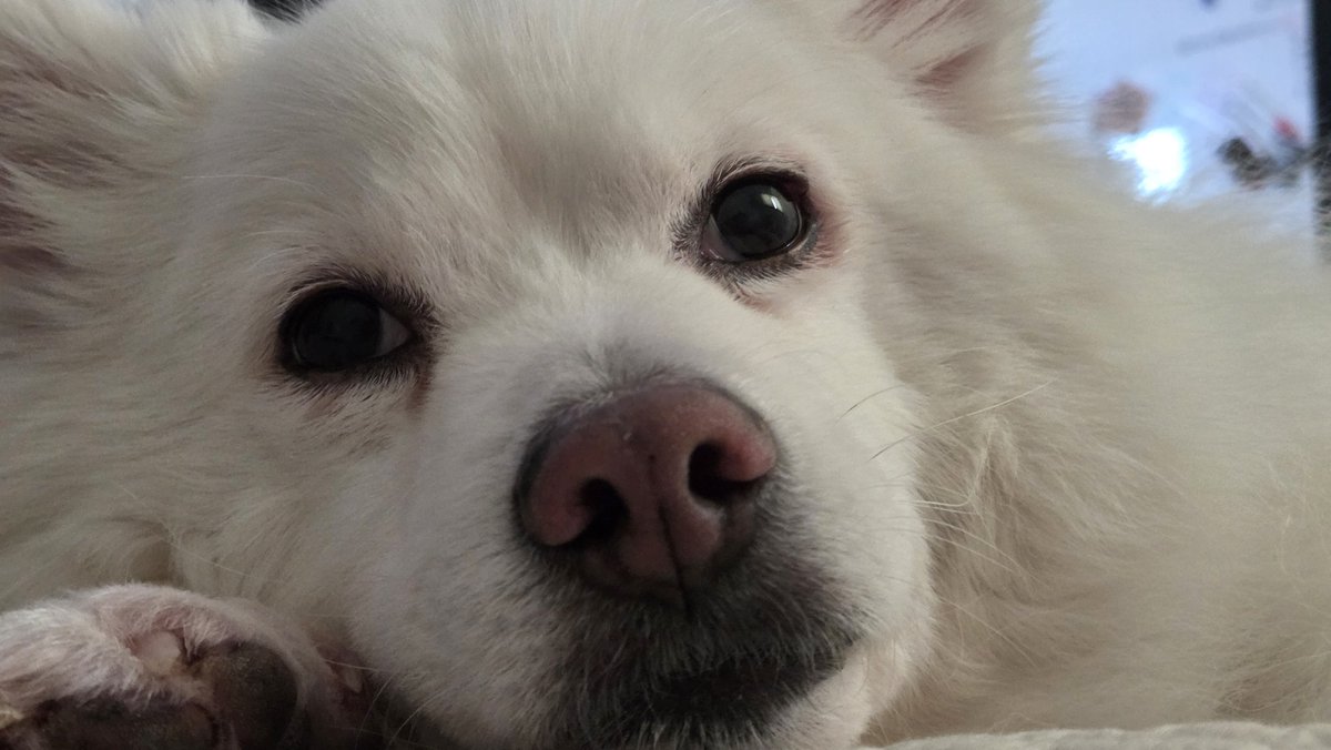 🍊=MIRINAE=🍊 tweet media