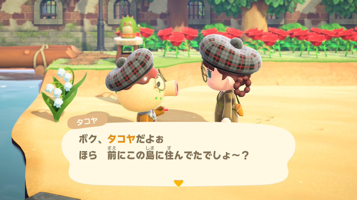 nekoheartisland's tweet image. タコヤ懐かしい🐙✨
元気そうでよかった！！！
#どうぶつの森 #AnimalCrossing #ACNH #NintendoSwitch #あつまれどうぶつの森 #あつ森アプデ #あつ森